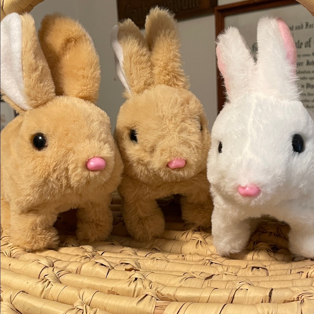 Three adorable battery powered bunnies.
